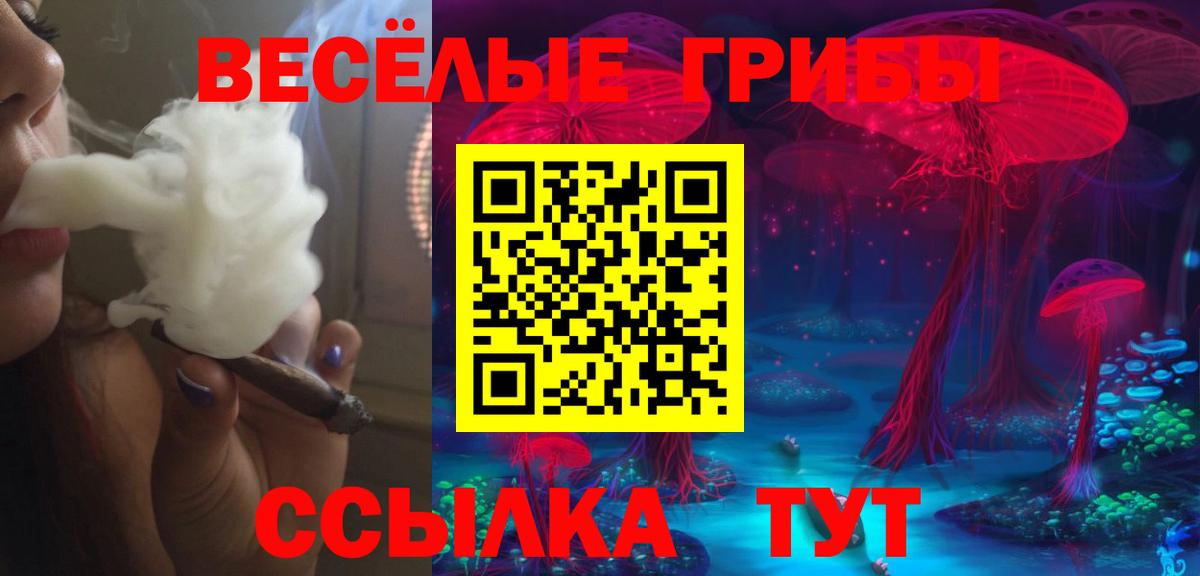 Галлюциногенные грибы ЛСД  Псилоцибиновые грибы мицелий  Вход с VPN  Железноводск 